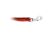 S2G LEAD ROPE WITH CARABINER HOOK RED