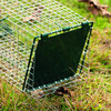 TRAP CAGE PAINTED MODEL 60X26X31CM
