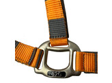 HEAD COLLAR ORANGE WITH TAUPE BLOCKED COB