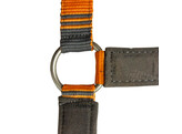 HEAD COLLAR ORANGE WITH TAUPE BLOCKED COB